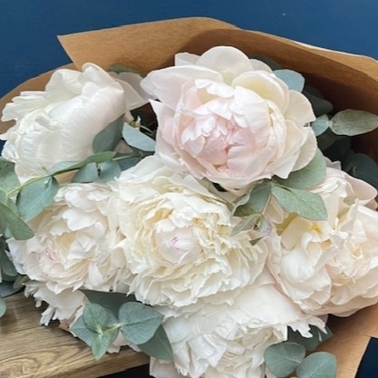 Peony Elegance