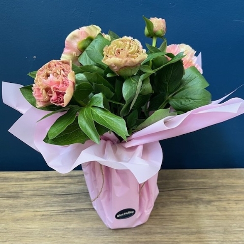 Peony Charm