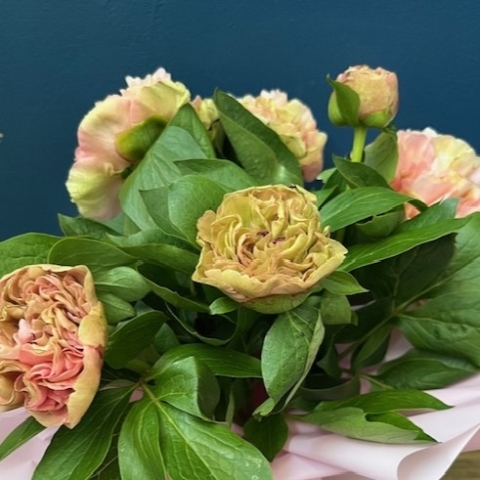 Peony Charm
