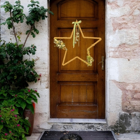 Sage Door Star