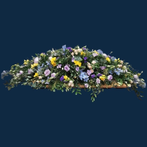 Spring Coffin Spary