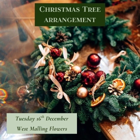 Tuesday 16th December Evening