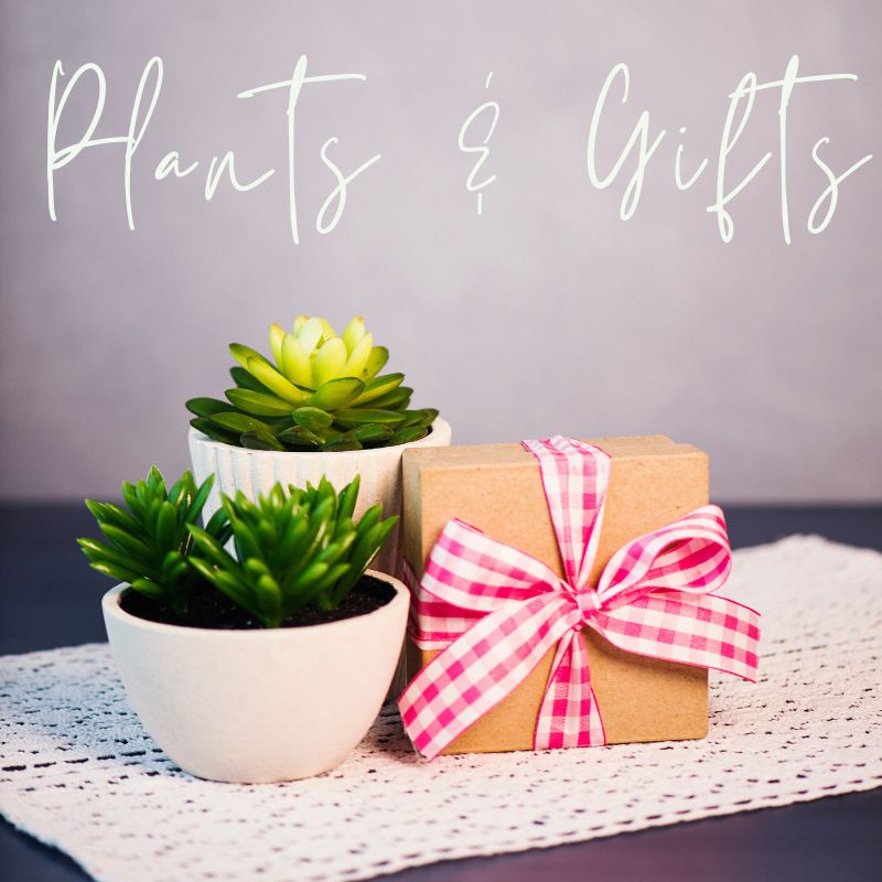 Plants & Gifts