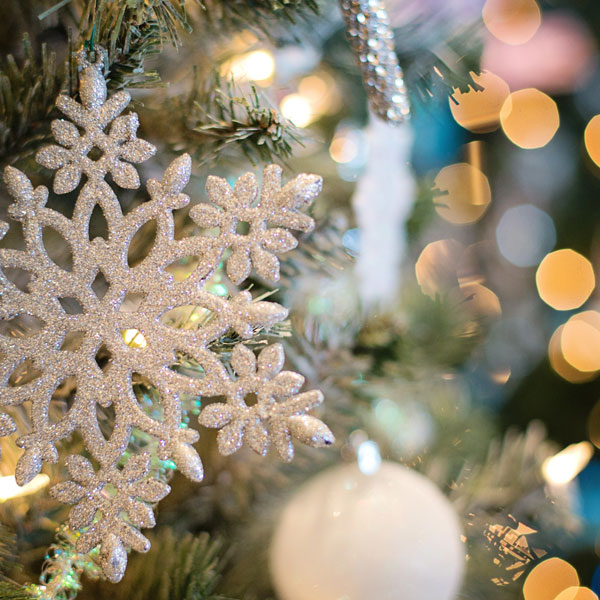 Christmas Trees & Wreaths